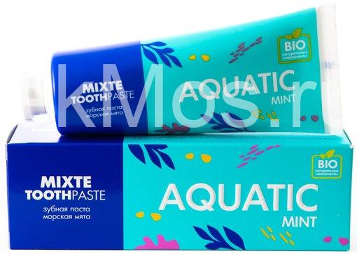     Mixte Aquatic Mint
